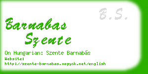 barnabas szente business card