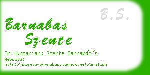 barnabas szente business card